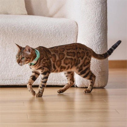 Pet Cat Toy Laser Collar